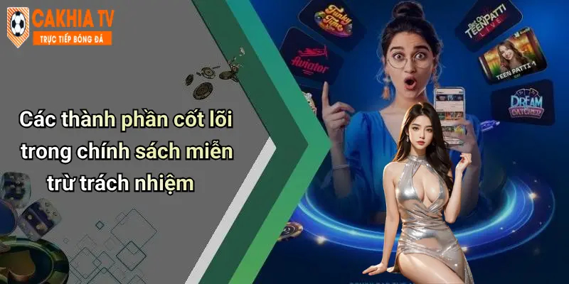 Các thành phần cốt lõi trong chính sách miễn trừ trách nhiệm