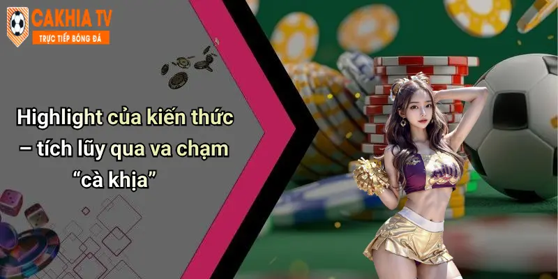 Highlight của kiến thức – tích lũy qua va chạm “cà khịa”