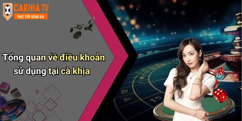 Tổng quan về điều khoản sử dụng tại cà khịa