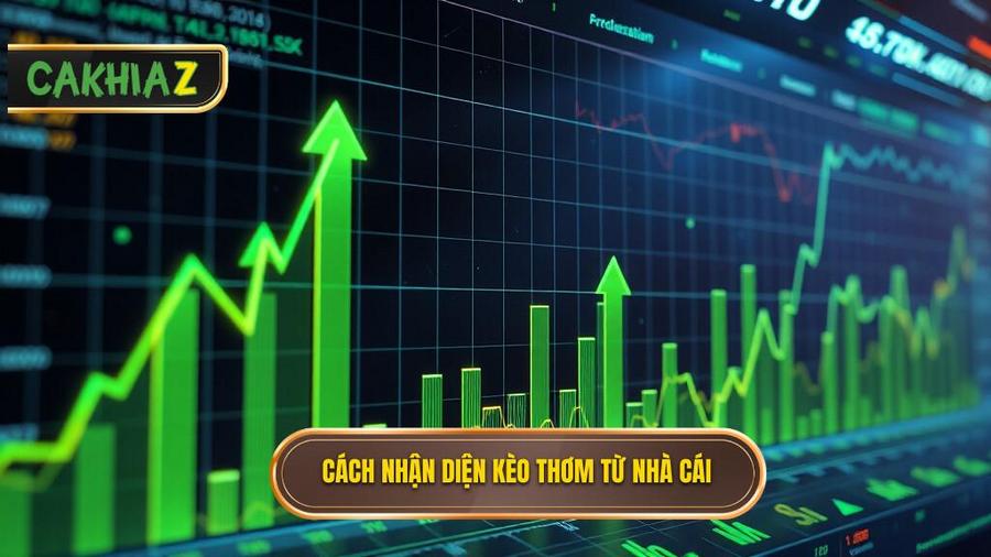 Cách nhận diện kèo thơm hôm nay từ bảng tỷ lệ nhà cái