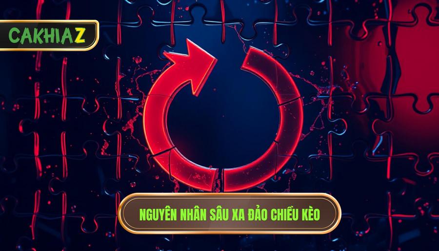 Nguyên Nhân Sâu Xa đảo Chiều Kèo